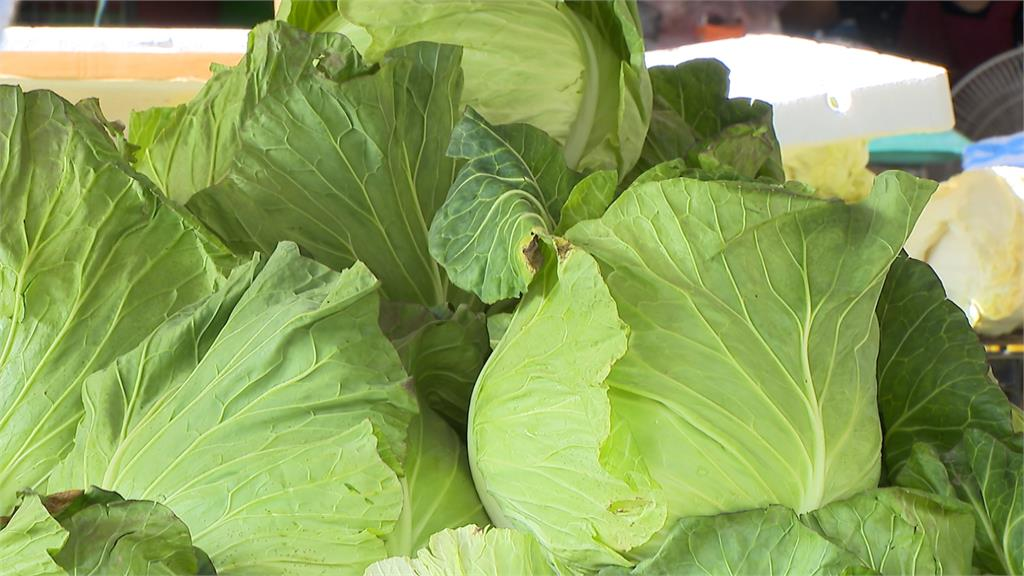 高麗菜「口感最差部位」才是精華?營養師揭「這樣煮」營養價值秒升級!