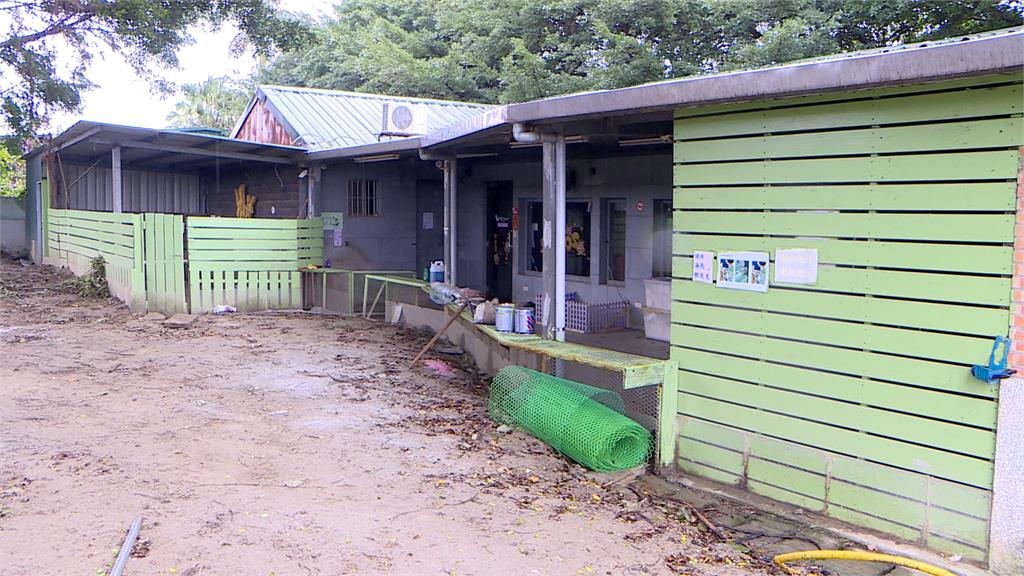 惡劣兔餐廳!非法展演大量病兔死亡 業者:生涯規劃停業