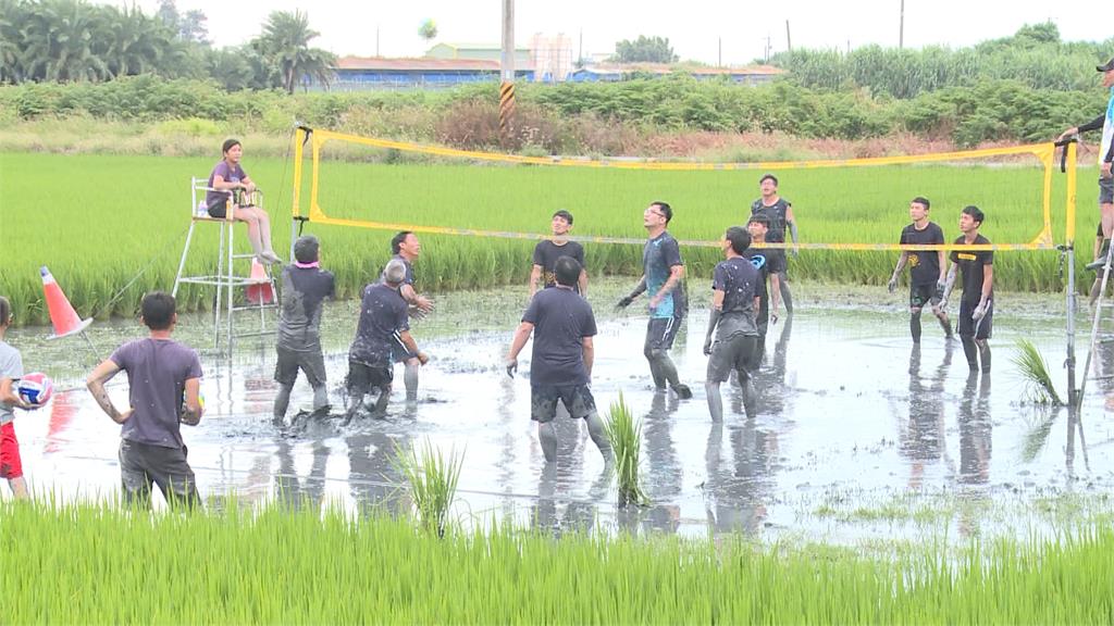 彰化農民水田裡「打排球」　翻滾吃土...拍成運動廣告片爆紅