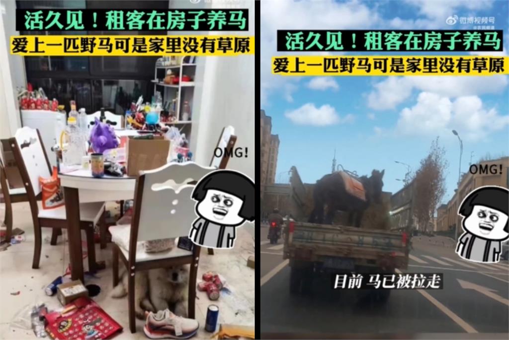 房東同意租客養寵物!開門驚見「一匹馬」愣了…慘況曝光網笑翻