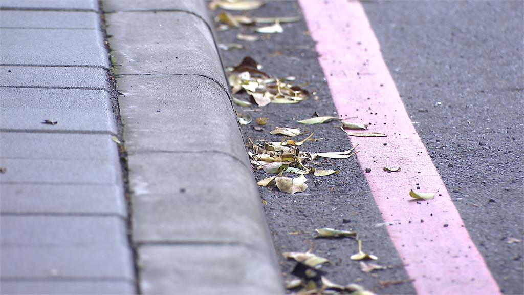 酒醉撿項鍊被盯上! 嫌「毛巾蒙面」當街行搶
