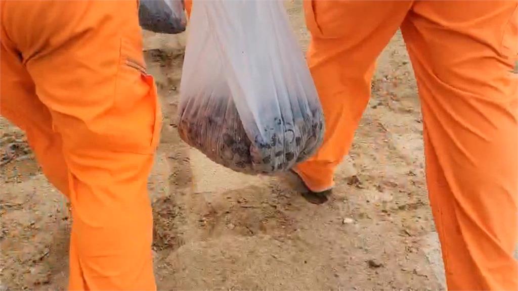 端午節快到了走私花菇? 小金門海邊現20kg「香菇海」