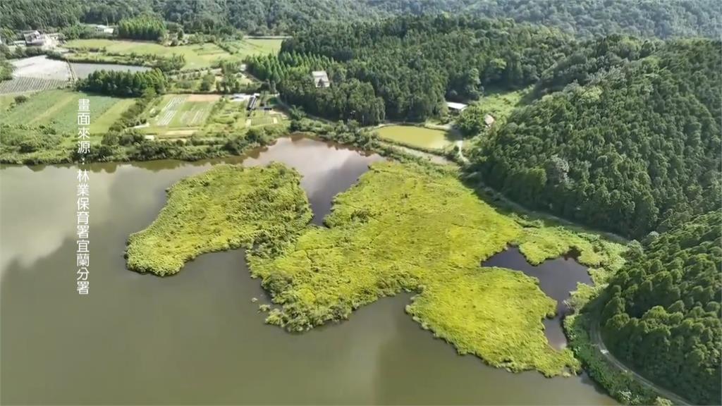 雙連埤國濕地空拍見「恐龍脈」 暴龍?!學者:地理條件得天獨厚