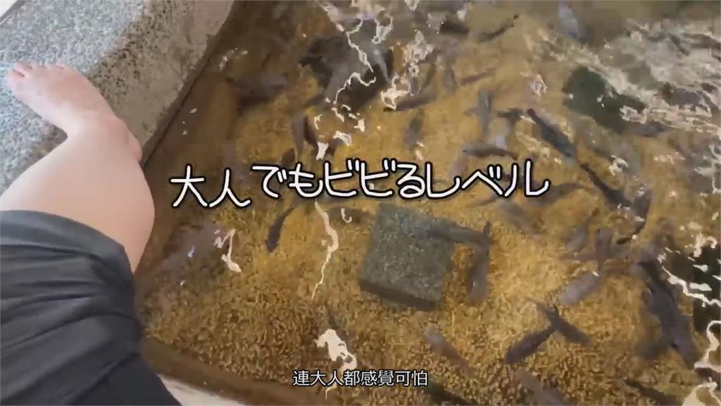 初體驗溫泉魚親密接觸「吃腳皮」　台日混血妞驚叫：以為腳要被吃掉