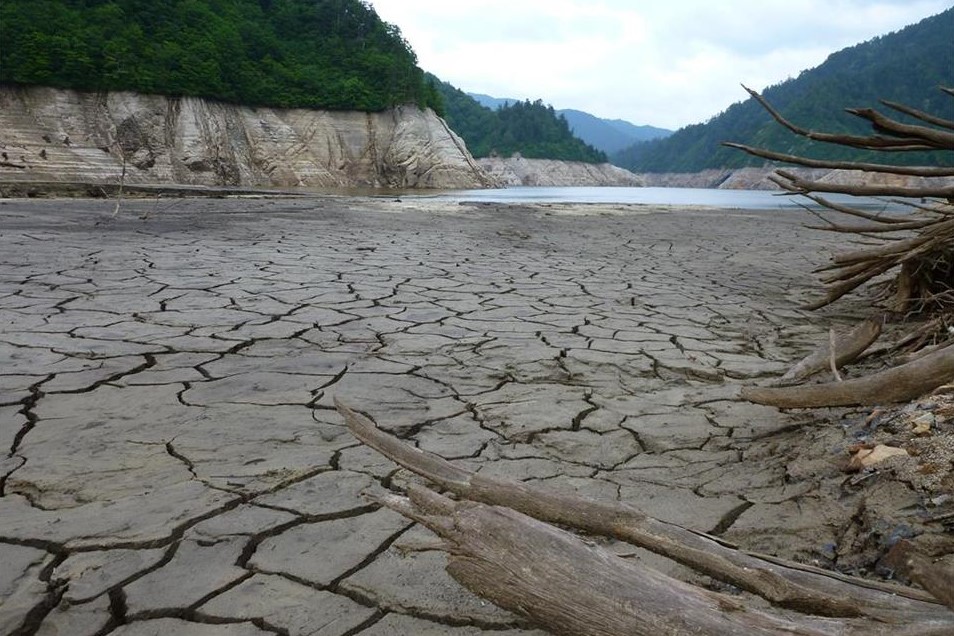 昔料中賴清德「凍蒜總統」!命理師提醒「2026火勢極旺」波動顯現:注意3意外