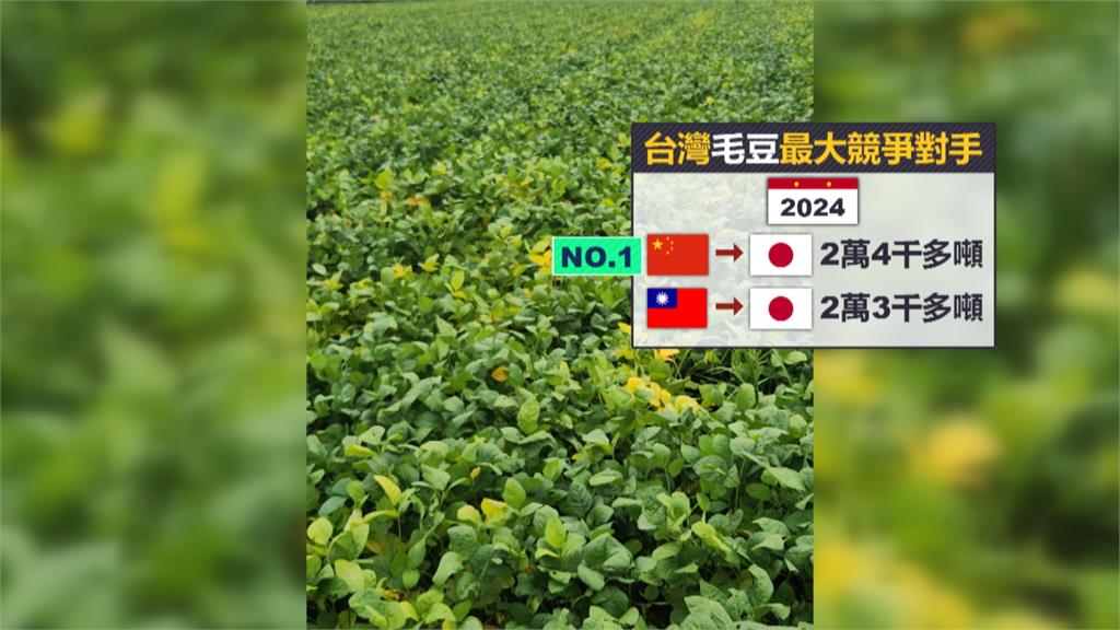 卓榮泰與毛豆業者座談 協助業者開拓國際市場