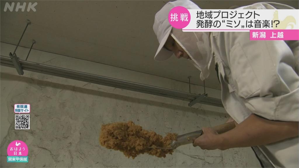 這款味噌「從小聽音樂長大」 味道香醇又好吃