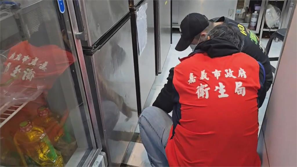 嘉義一連鎖鍋貼店「鼠輩橫行」　稽查出多項衛生缺失