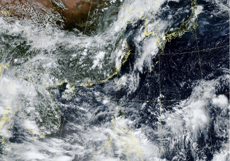 今年秋颱擾台機率增加?專家曝「反聖嬰訊號變強」憂:豪雨恐致災風險高