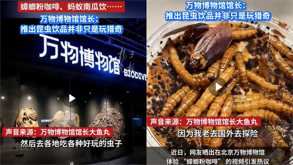 北京博物館推「大麥蟲尬蟑螂粉咖啡」…館方親曝真實口感:酥酥脆脆好喝!