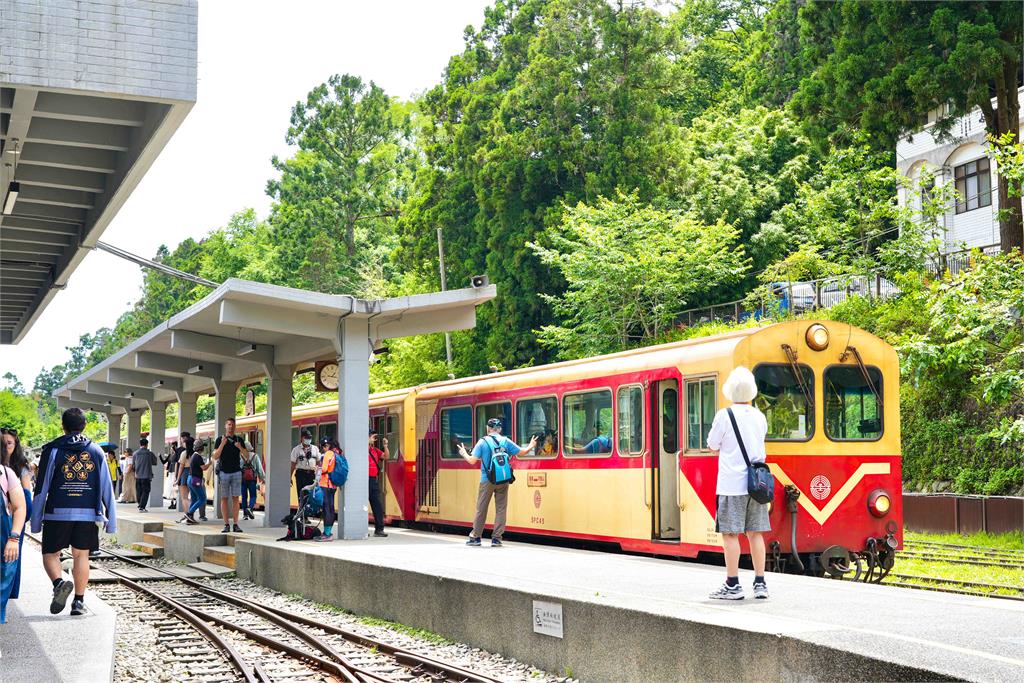 阿里山療癒慢旅，老宅鍋物、茶園與螢光夜景串聯山林風貌