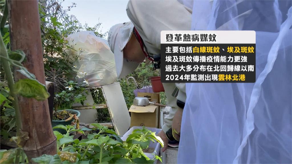 雲林北港進香潮旺季！　衛生局加強巡檢、全力防堵登革熱