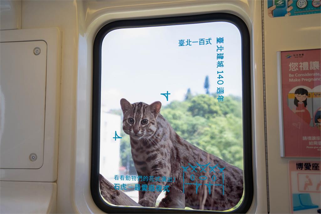 快新聞／歡慶台北建城、動物園逾百歲　文湖線推動物列車超級卡哇伊