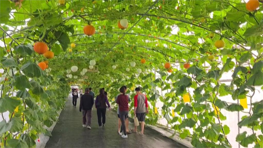 「躍！屏東　」熱帶農業博覽會登場　RODY跳跳馬跳上彩繪稻田