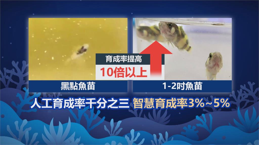 智慧魚苗生產系統獲未來科技獎　大幅降低6成人力　育成率提高10倍