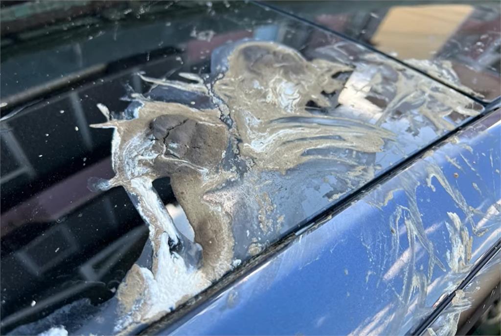 大笨鳥車頂解放!他曝愛車慘況崩潰 網看影片笑翻:絕對是故意的