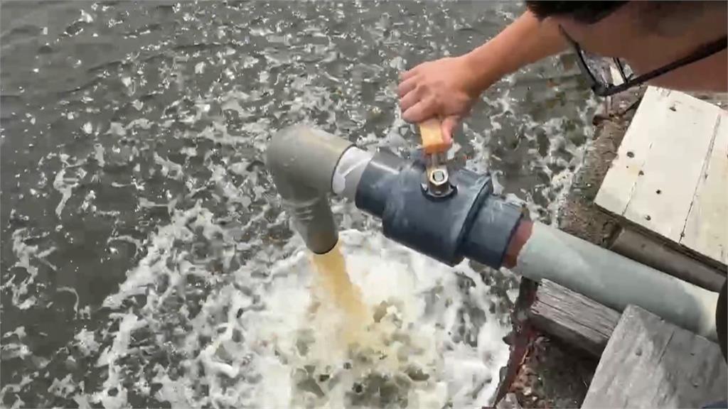 鳳凰南移屏東防颱 遊艇業者加固船隻、蝦農備發電機