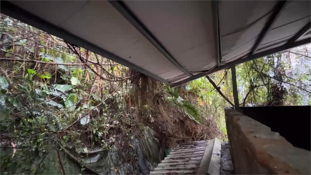 北台灣連日雨! 基隆50年老樹倒塌壓毀民宅雨棚