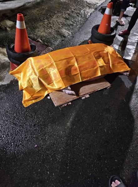 竹市明星豬遇車禍慘死街頭引熱議 飼主卻遭批:養當寵物為何不牽繩