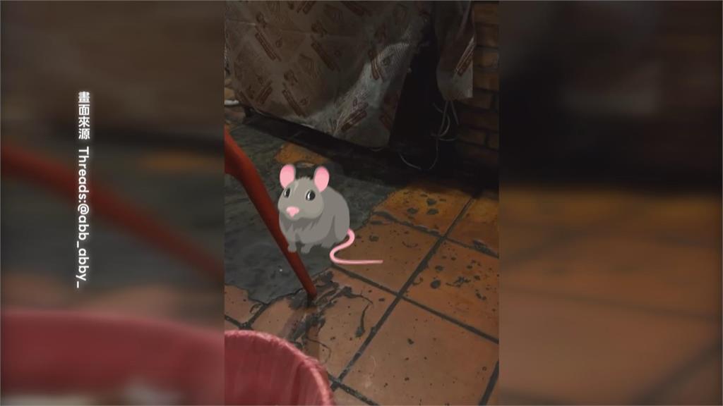 台南胡椒蝦名店老鼠出沒！　店家第一時間「只幫換座位」