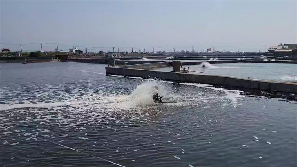 屏東枋寮養殖管線變"馬路水管牆"奇景 成新興街拍景點