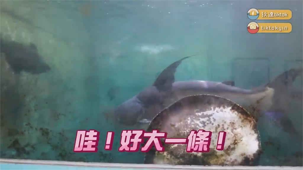 彷彿水族館！港妞參觀海大水產養殖系　見超豐富資源驚：香港都沒有