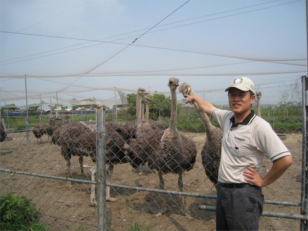豬油也能兼顧食安？鴕鳥獸醫郭旭英揭「100度 vs 200度」關鍵！