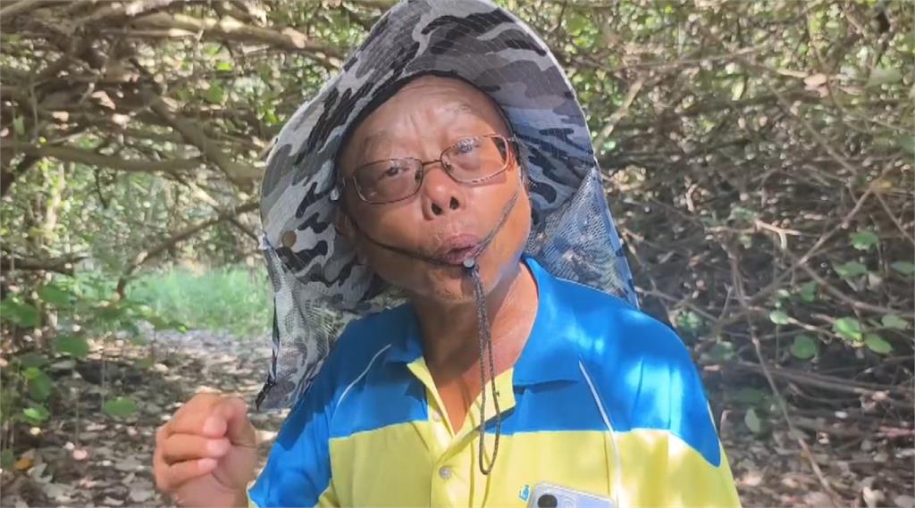 小燕鷗繁殖危機！　 通霄沙灘野狗襲擾　人為干擾產蛋