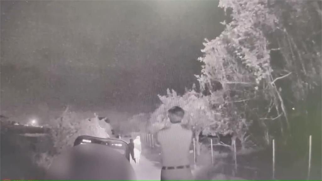 屏東枋寮超商外驚見「羊群」 飼主獲報到場:圍欄鬆脫