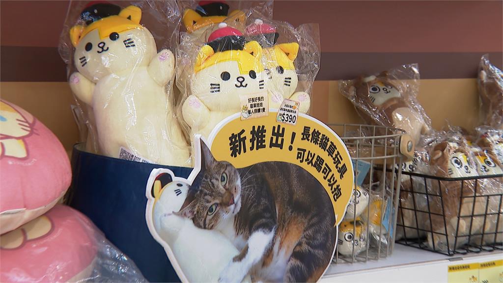 文博會創意無極限文創品賣翻天! 人氣創作者拚維持熱度、新人搶曝光