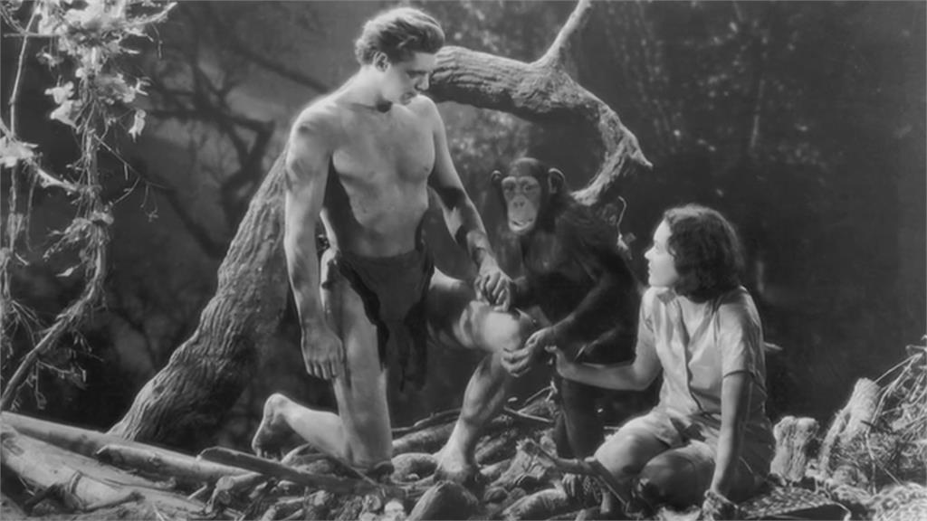 「黑猩猩之母」珍古德91歲辭世 今年6月才來台演說