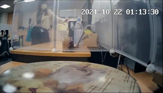 T台前主播捲宮鬥被開除提告敗訴！張靖玲再爆「遭母控不孝爭產」判決結果曝