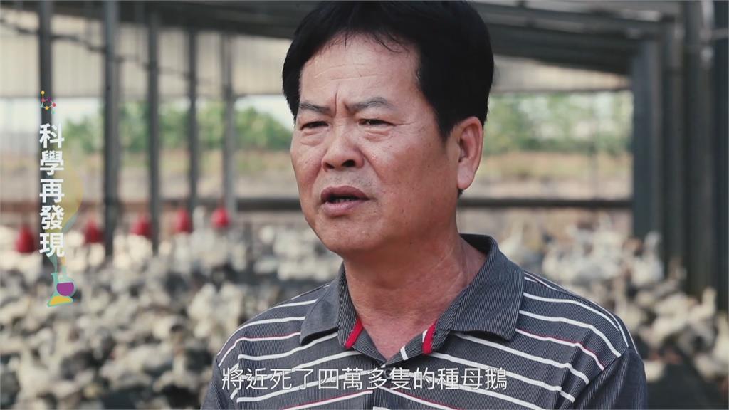 為防禽流感感染擴大 國家防疫體系持續加強