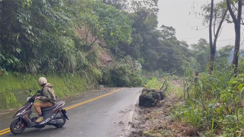 連日大雨釀樹倒、大面積坍方　阿里山通往達那伊谷道路中斷