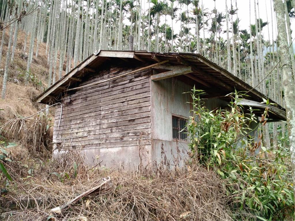 〈全民筆讚〉翁達瑞－賴清德遭遇的居住不正義