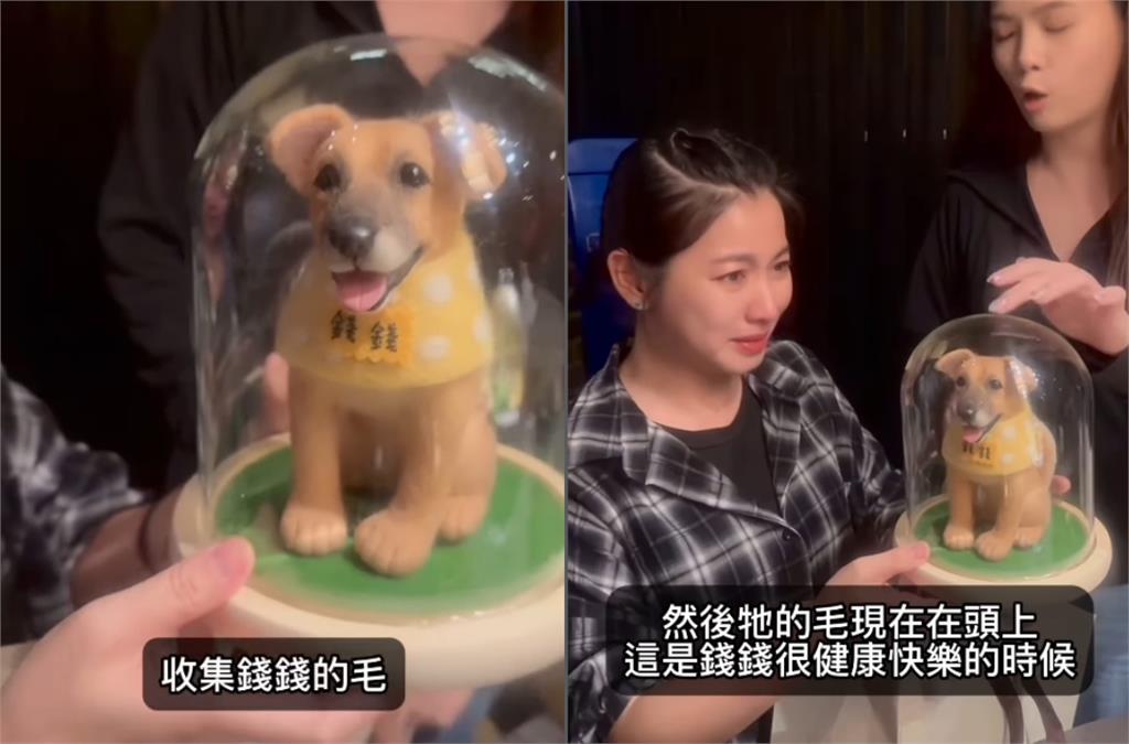 米可白13歲愛犬癌逝2個月!突收「1驚喜禮物」哭喊:我的寶貝…全網噴淚