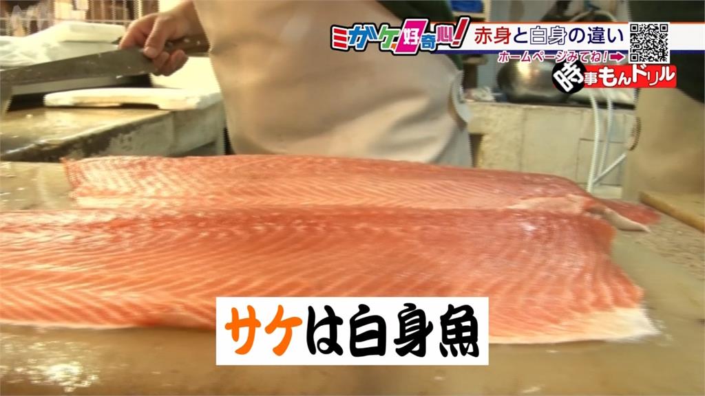 魚肉偏紅、偏白差很大！ 日本專家來解答