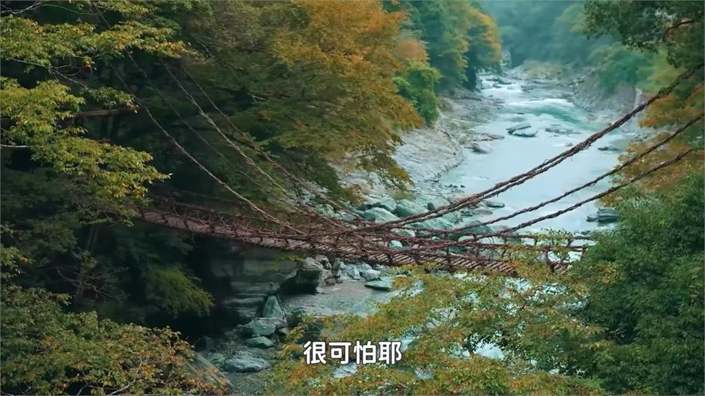 美到不可思議！日本秘境「祖谷蔓橋」讓人步步驚心　他直呼：差點失禁