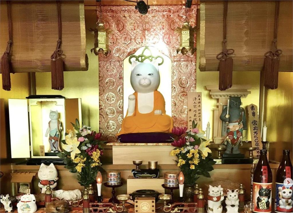貓奴快參拜「京都這寺廟」住持竟是貓！驚現畫作「蒙喵麗莎」毫無違和感