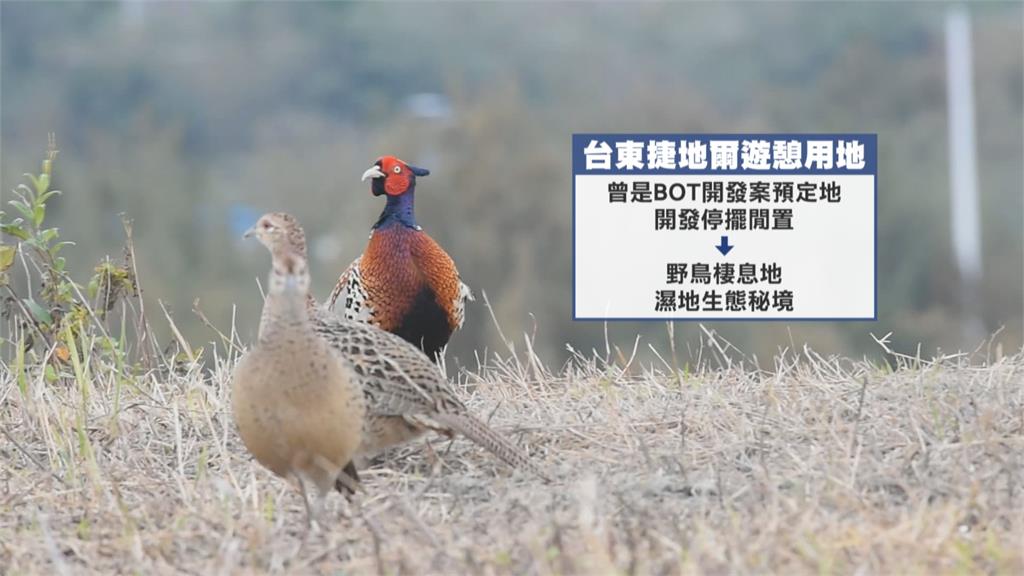 台東遊憩用地成垃圾場　上百座紐澤西護欄遭棄置