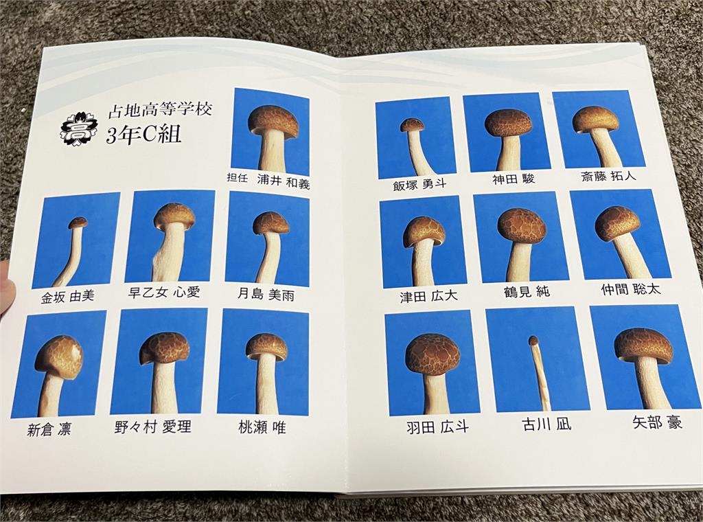 鴻禧菇也有自己個性！日本百萬YTR拍「畢業紀念冊」吸4千萬次觀看