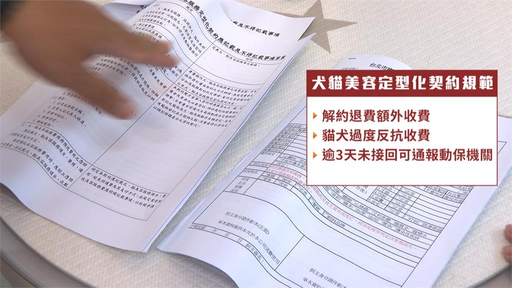 犬貓美容定型化契約上路! 三天未接回可通報動保機關