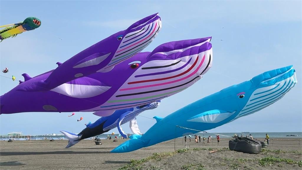 旗津風箏節登場　「35米大鯨魚」翱翔天空