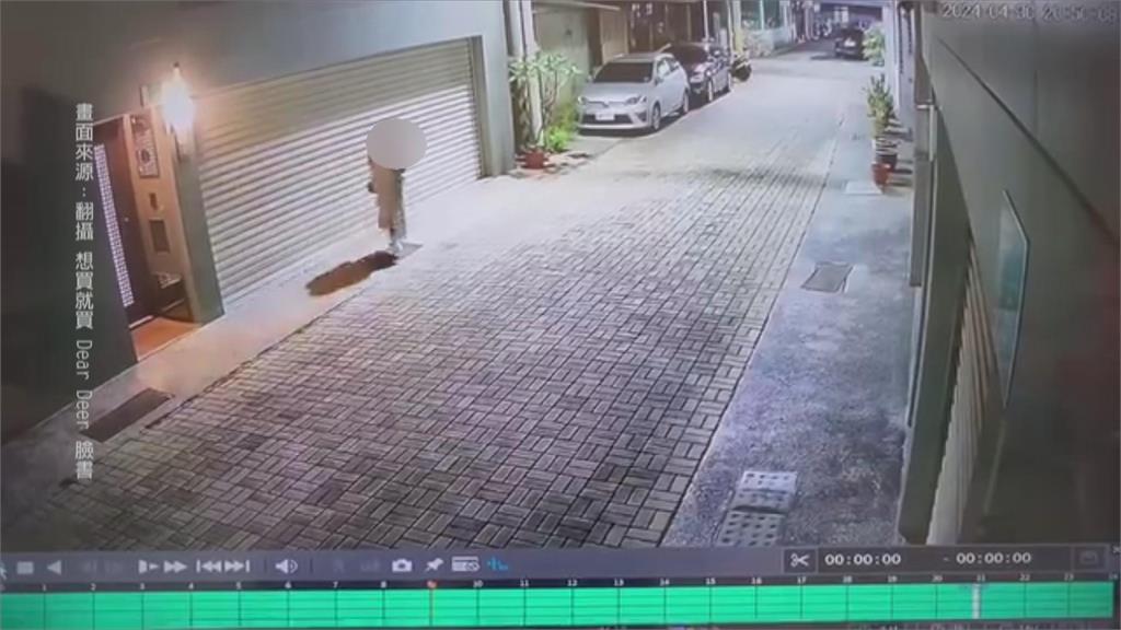 現實版馴鹿寶貝?園藝店老闆被女粉跟騷 發布「不自殺聲明」求助