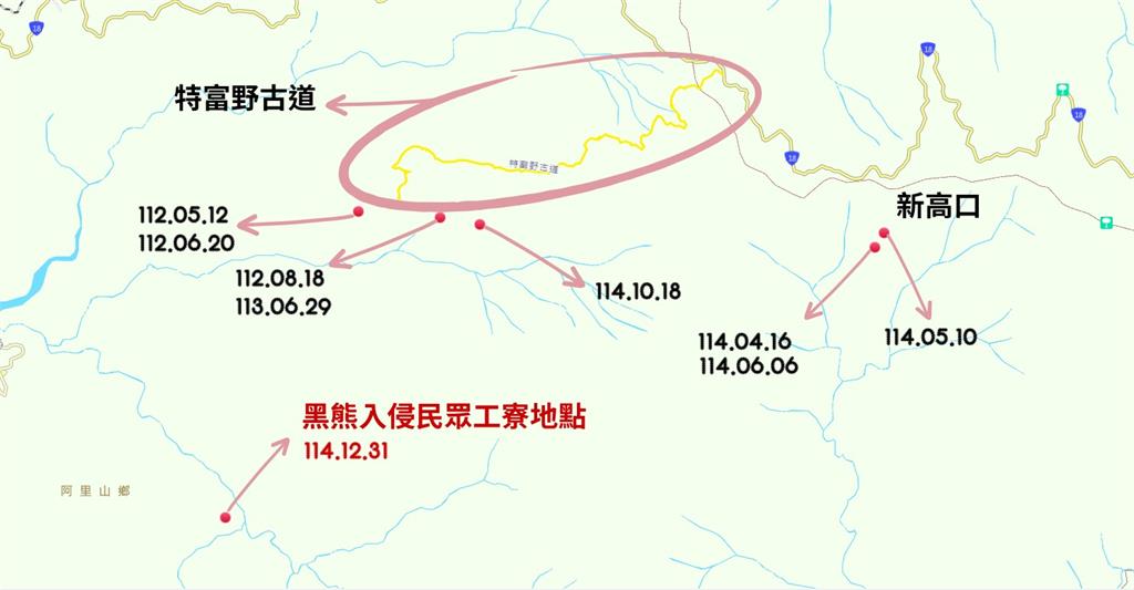 台灣黑熊直衝阿里山部落找食物!「翻冰箱、開罐頭」現場破壞照曝光