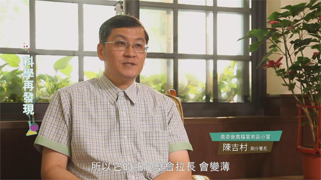 「過度施肥」反而有害作物！　「休耕輪作」可改善土壤