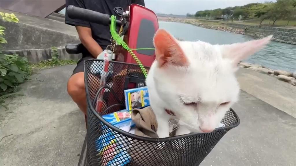 人狗情深!"黃金"只靠雙腳站代步車 陪主人兜風