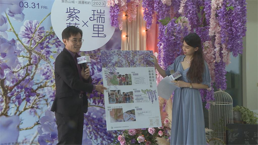 嘉義縣瑞里紫藤花盛開 32處賞花景點邀您來走春