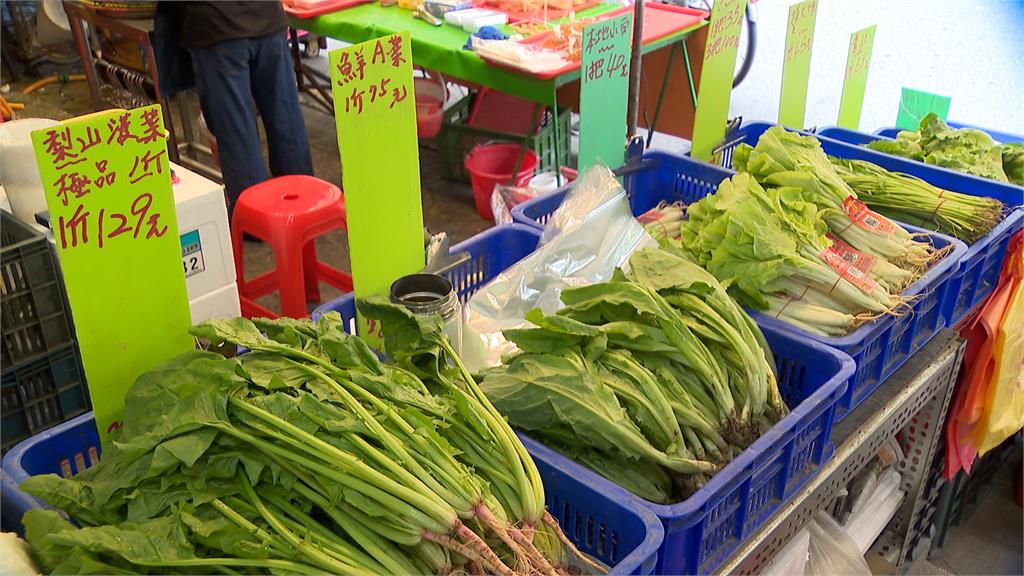 蚵仔煎一定要用「小白菜」？內行曝原因「北中南差很多」這1種最對味！