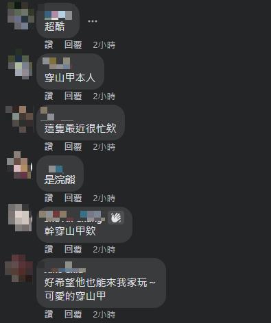 穿山甲闖民宅7秒片曝!屋主急問「怎辦?」反被網虧:神奇寶貝中心